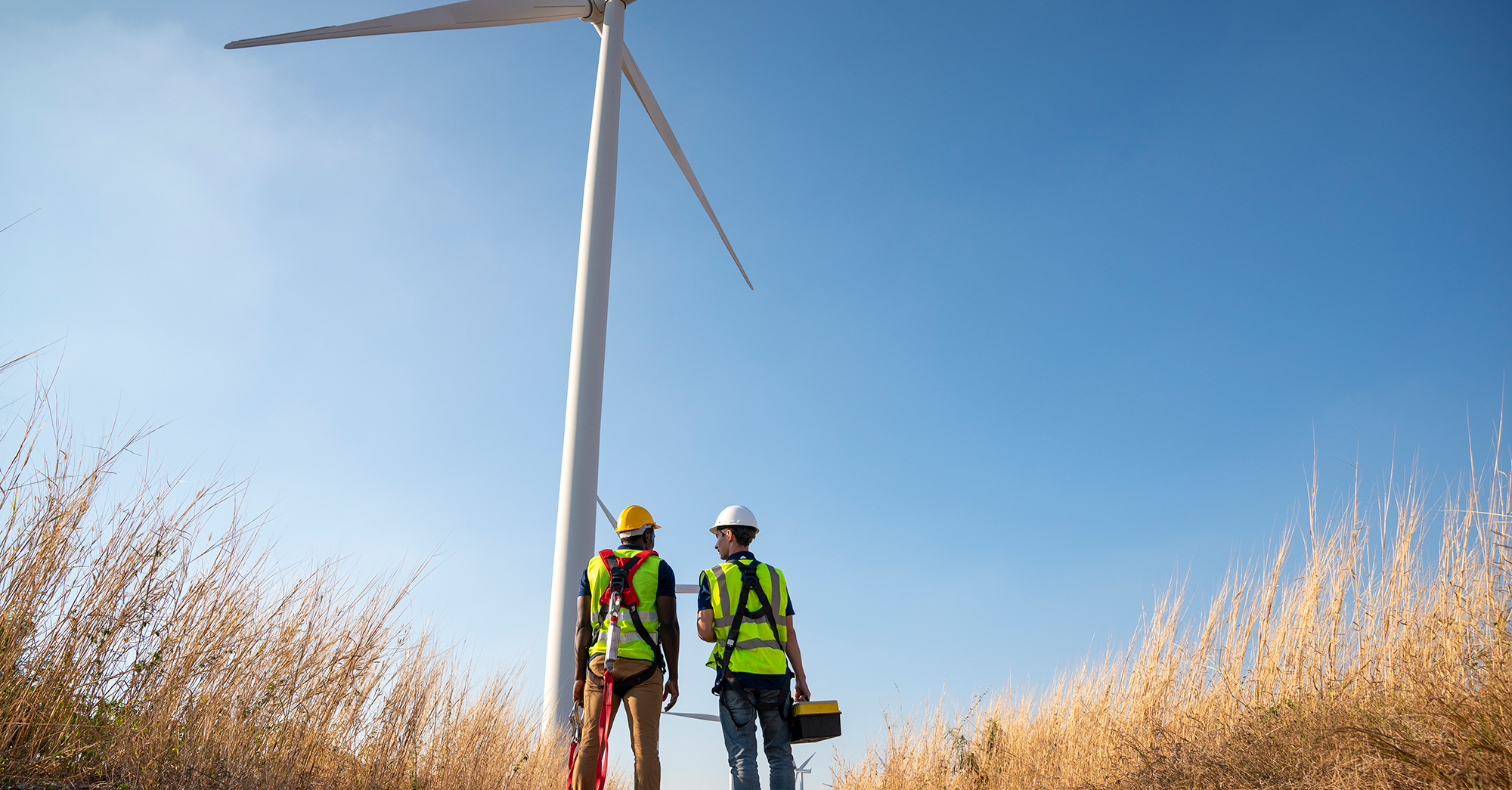 4 Tips for Working with a Technical Documentation Consultant